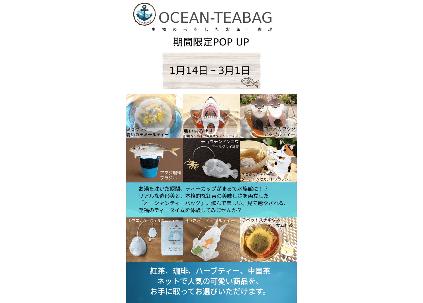 OCEAN-TEABAG POPUP開催！